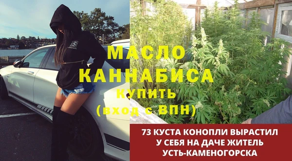 2c-b Горняк