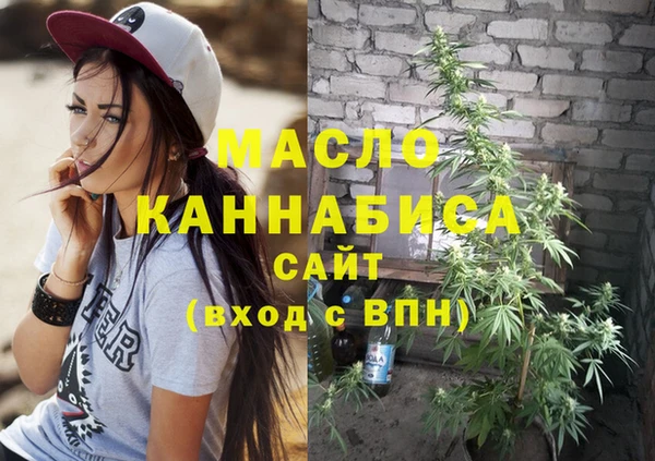 2c-b Горняк