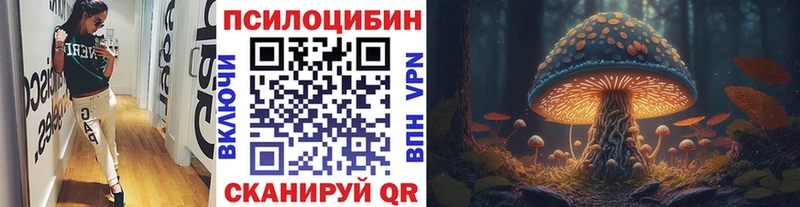 Купить где  Сусуман  Псилоцибиновые грибы прущие грибы 